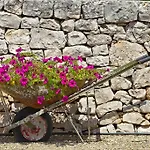 Coppola Di Seta 4*