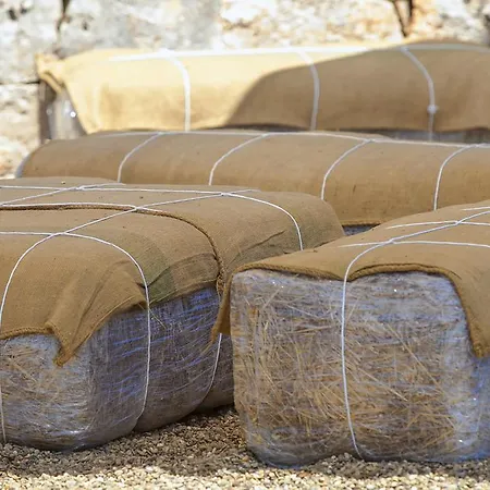 فندق مبيت وإفطار Coppola Di Seta لوكوروتوندو