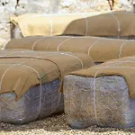 Bed and Breakfast Coppola Di Seta Locorotondo