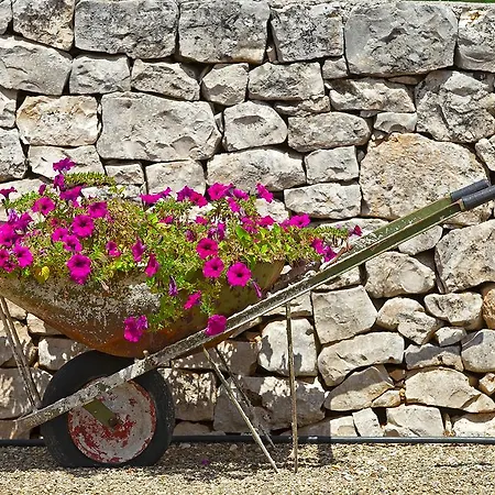 Coppola Di Seta 4*