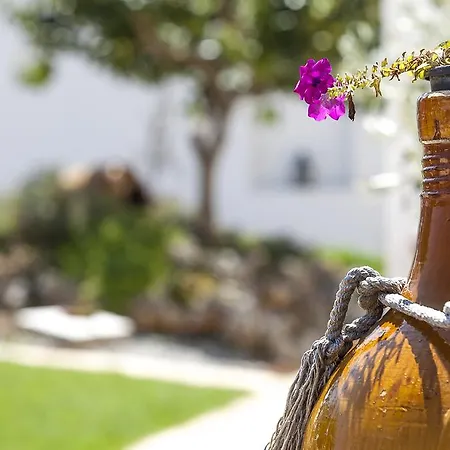 Coppola Di Seta Bed & Breakfast 3*