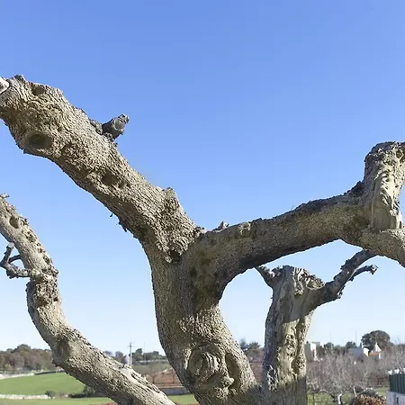 Coppola Di Seta 4* Locorotondo