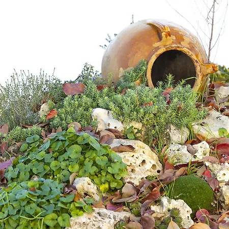 Coppola Di Seta Locorotondo