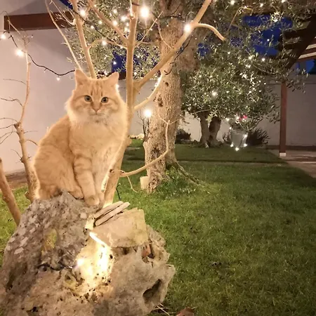 Coppola Di Seta Frühstückspension 4*